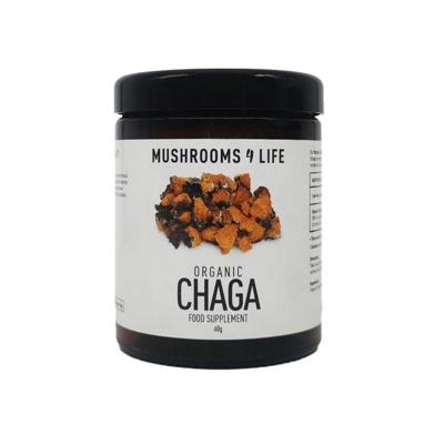 Mushrooms for Life Chaga poeder bio 60 Gram Mushrooms for Life Chaga poeder bio 60 Gram
