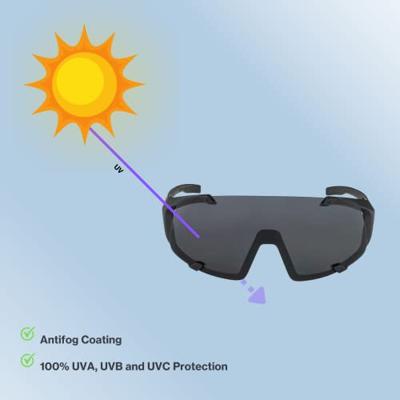 Alpina Hawkeye - Sports Glasses