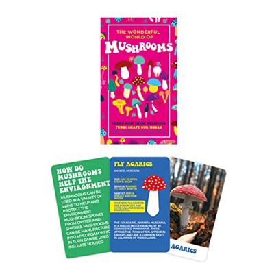 Gift Republic De Wonderlijke Wereld van Paddestoelen