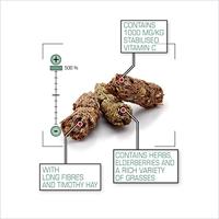 VERSELE-LAGA COMPLETE CAVIA - thumbnail