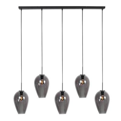 Steinhauer HanglampHaloSwap zwart met smoke glas - 4284ZW