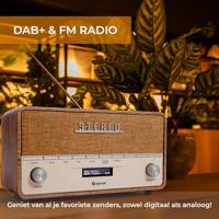 Denver DAB-36LW LIGHT WOOD Radio DAB+, VHF (FM) Hout (mat) - thumbnail
