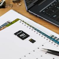 Intenso Premium microSDXC-kaart 256 GB Class 10, UHS-I Incl. SD-adapter - thumbnail