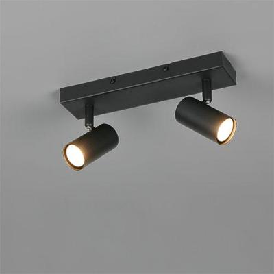 Trio OpbouwspotTaryn 2-lichts zwart - R86852032