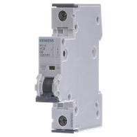 Siemens 5SY41067 5SY4106-7 Zekeringautomaat 1-fasig 6 A 440, 230 - thumbnail