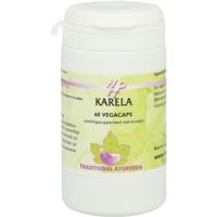 Karela - thumbnail