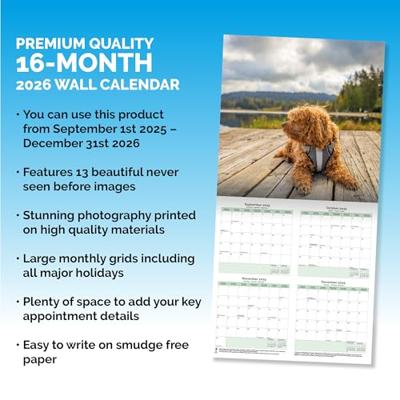 Cavapoo Kalender 2026 Cavapoo Kalender 2026
