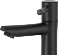 Saqu Shine fonteinkraan mat zwart - thumbnail