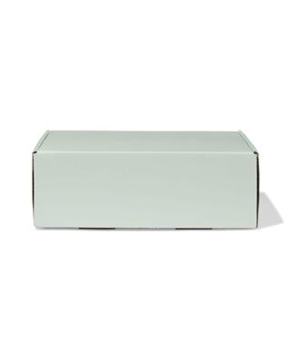 HEMA Verzenddozen 24x17x8cm karton lichtgroen - 3 stuks