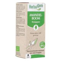 Herbalgem Amandel Bio 30ml - thumbnail