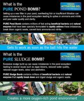 Evolution Aqua Duo Pack: Pure Pond Bomb & Sludge Bomb voor Heldere Vijvers - thumbnail