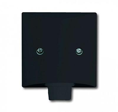 Busch-Jaeger 2CKA001710A1910 Kabelinvoer Afdekking Allweather 44 (IP44) Antraciet, Zwart-grijs 1 stuk(s) Busch-Jaeger 2CKA001710A1910 Kabelinvoer Afdekking Allweather 44 (IP44) Antraciet, Zwart-grijs 1 stuk(s)