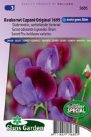 Lathyrus Odoratus zaden Cupanis Original 1699 reukerwt - thumbnail