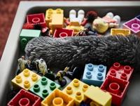 AEG AKIT21 Stofzuiger accessoire Zwart - thumbnail