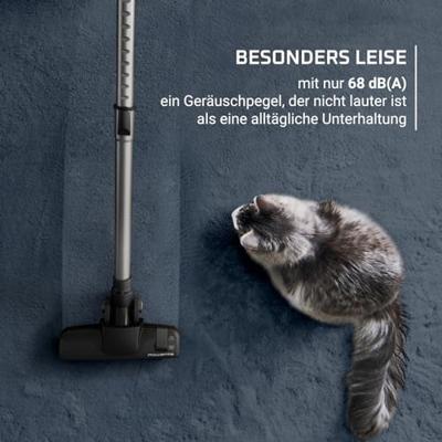 Rowenta RO7C36 Stofzuiger zonder zak Grijs