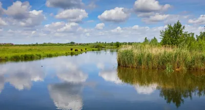 Alexsar Art Tuinschilderij wateren 130x70cm