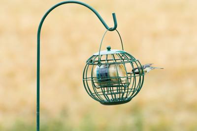 London pindakaaspothouder