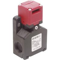 Pizzato Elettrica FW 3392-M2 FW 3392-M2 Veiligheidsschakelaar 250 V/AC 6 A Gescheiden bediening Moment IP67 1 stuk(s) - thumbnail