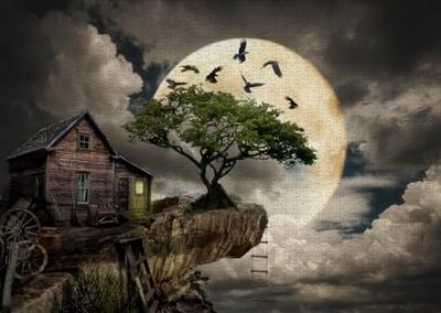 A Log Cabin on a Cliff Puzzel 1000 Stukjes