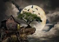 A Log Cabin on a Cliff Puzzel 1000 Stukjes - thumbnail