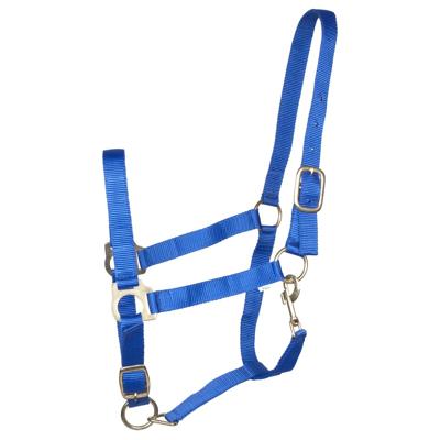 Budget Rider Basic II halster kobalt maat:xfull