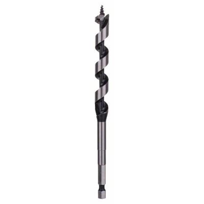Bosch Accessoires Houtslangenboor, zeskant 12 x 100 x 160 mm, d 6,35 mm 1st - 2608585699 Bosch Accessoires Houtslangenboor, zeskant 12 x 100 x 160 mm, d 6,35 mm 1st - 2608585699