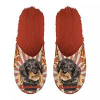 Pantoffel dachshund teckel oranje - thumbnail