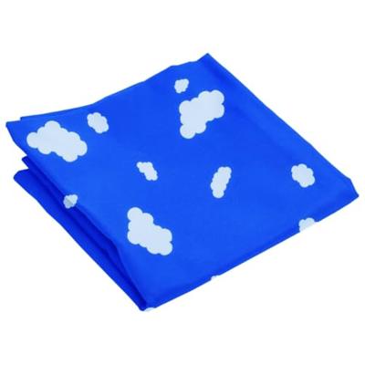 VidaXL Schommelzitjes 2 st met klimstenen polyetheen blauw