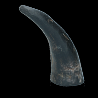 Viking Whole Horn L - thumbnail