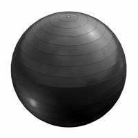 Fitnessbal Zwart 65 cm incl. pomp - thumbnail