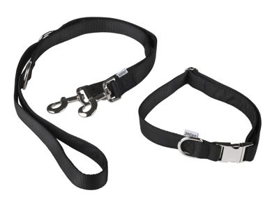 zoofari Hondenhalsband (M, Zwart) zoofari Hondenhalsband (M, Zwart)