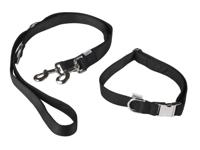 zoofari Hondenhalsband (M, Zwart) - thumbnail