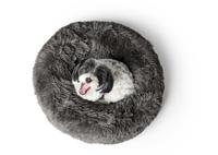 Kattenbed Hunter - thumbnail