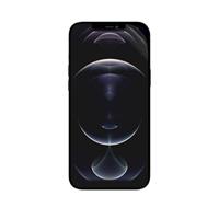 tech21 Impact Shield Screen Protector voor Apple iPhone 12 Pro Max met anti-kras en anti-microbiële eigenschappen - thumbnail