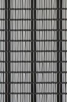 Sunarts kant en klaar vliegengordijn 100 x 232 cm Banen wit / zwart / zilver model 409 - thumbnail