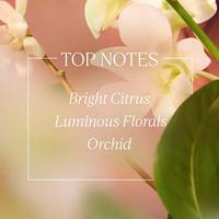 L&apos;Occitane Neroli & Orchidee Hand Cream 75ml Hand- en voetverzorging - thumbnail