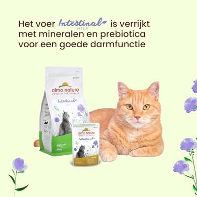 Almo Nature Functional sensitive met vis - natvoer voor volwassen katten met gevoelige en prikkelbare darmproblemen - 70 g