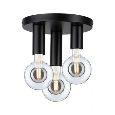 Paulmann 79761 Plafondlamp E27 Zwart