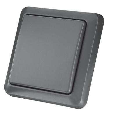 Draadloze buiten wandschakelaar enkel, AGST8800