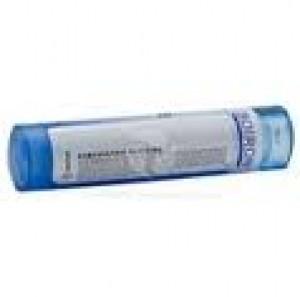 Homeoden Heel Apis mellifica 30CH 6 Gram