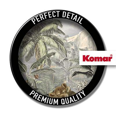 Komar Into Adventure Fotobehang Disney - The Lion King - Hills - IADX6-088