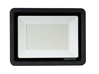 Eurolite FL-300 51915075 Buitenschijnwerper Energielabel: F (A - G) 300 W Lichtkleur (naam): Koudwit