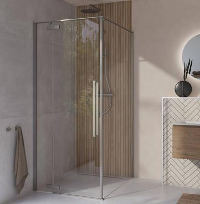 Saqu Trophy douchecabine met draaideur incl. antikalk 90x110x203cm matt brushed