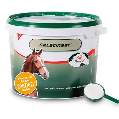 Primeval Gelatinaat