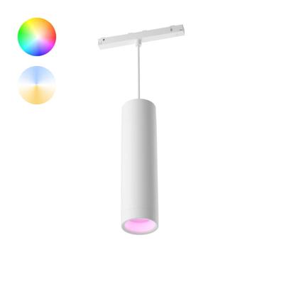 Philips Hue Perifo - White and color uitbreiding hanglamp wit - 929003116001