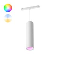 Philips Hue Perifo - White and color uitbreiding hanglamp wit - 929003116001 - thumbnail