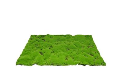 Kunstmos mat medium 70x50 cm groen My Village - My village