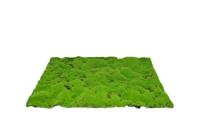 Kunstmos mat medium 70x50 cm groen My Village - My village - thumbnail