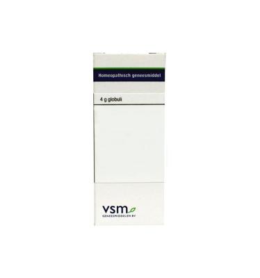 VSM Cimicifuga racemosa LM30 4 Gram