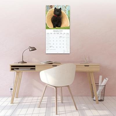 Schipperke Calendar 2026 Square Dog Breed Wall Calendar - 16 Month